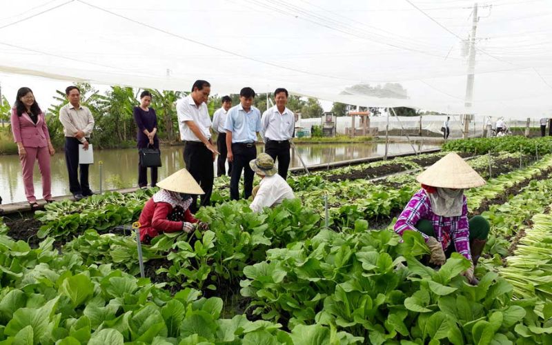 Tìm việc công nhân nông nghiệp tại Nghệ An