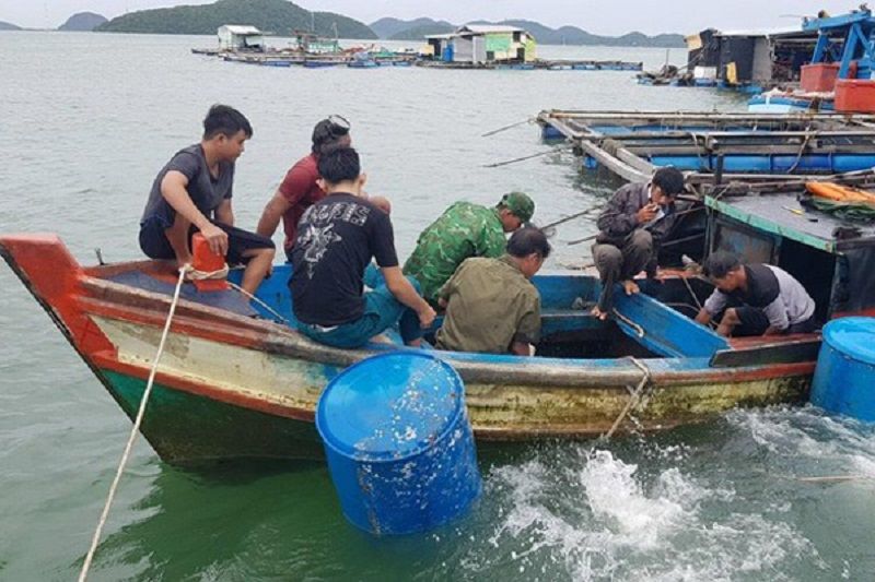 Lao động bị lừa đảo