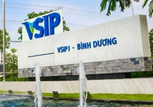 VSIP2